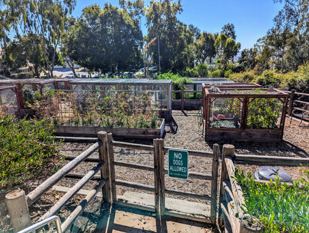 Community Garden