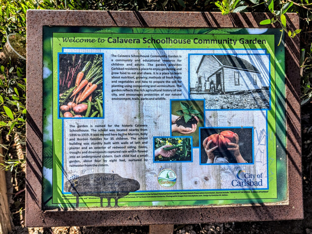 Community Garden History