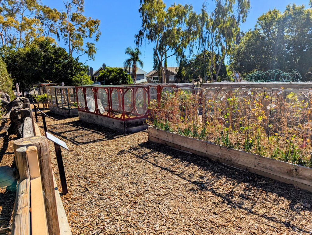 Community Garden